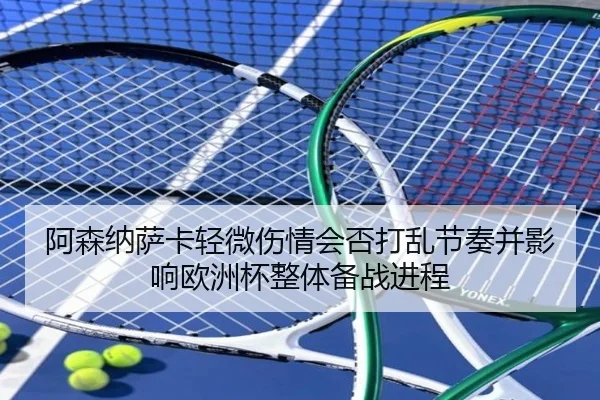 a-sen-na-sa-ka-qing-wei-shang-qing-hui-fou-da-luan-jie-zou-bing-ying-xiang-ou-zhou-bei-zheng-ti-bei-zhan-jin-cheng-2-620.jpg